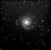 m74.jpg (18252 bytes)