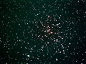 M41