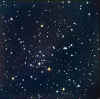 m41color.jpg (49927 bytes)