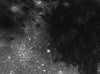 Dionysius Rays