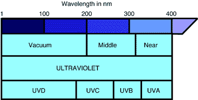 figure 1b