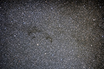 Barnard 334