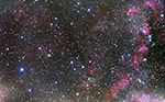 Barnard 348