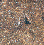 Baade's Window on the evening of Friday September 7, 2018, labeled image
