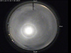 Moon halo January 19, 2016